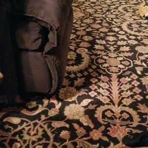 Meet your Posher, Misty